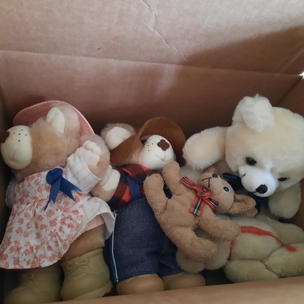 Vintage 80's Wendy's FURSKINS 7" Bears - Farrell, Hattie Set of 2 + extras! - Picture 15 of 16
